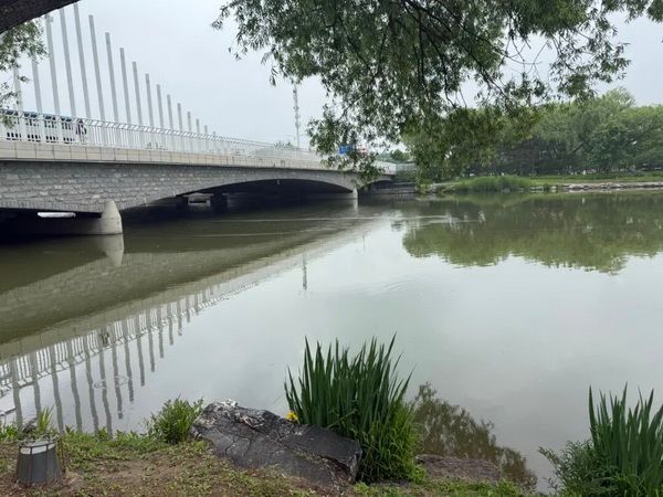 0-2_调整大小