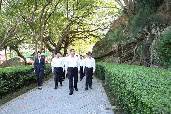 10_调整大小 10_调整大小