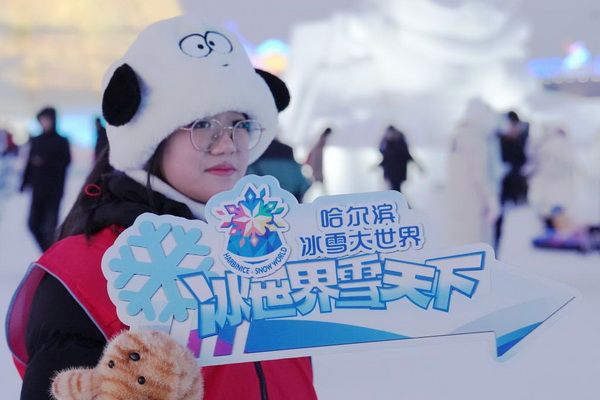 04_调整大小 04_调整大小