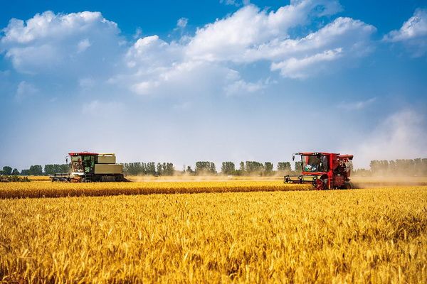 0-7_调整大小 0-7_调整大小