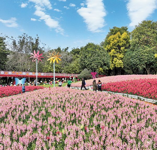 0-7_调整大小 0-7_调整大小