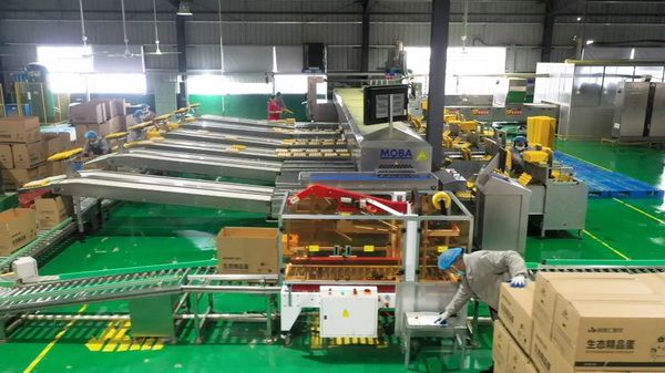 1-2_调整大小 1-2_调整大小