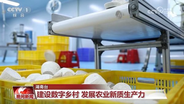 0-4_调整大小 0-4_调整大小