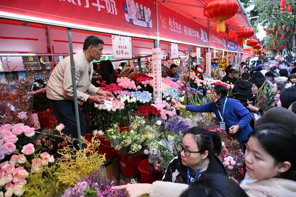 0-1_调整大小 0-1_调整大小