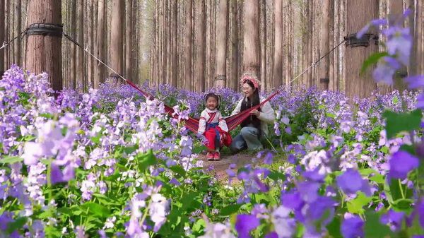 2-3_调整大小 2-3_调整大小