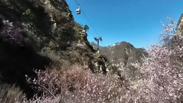 2-4_调整大小 2-4_调整大小