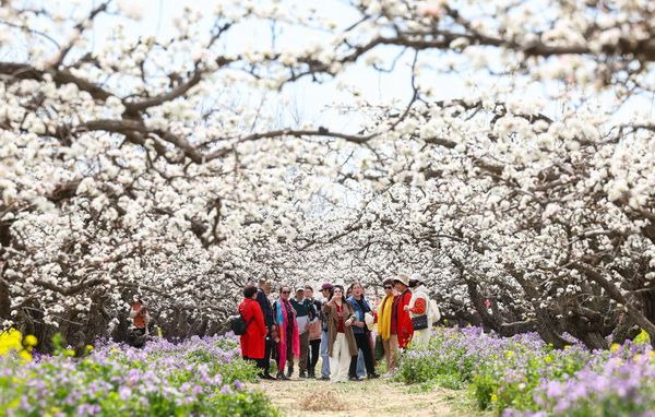 8_调整大小 8_调整大小