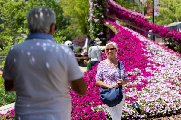 1-3_调整大小 1-3_调整大小