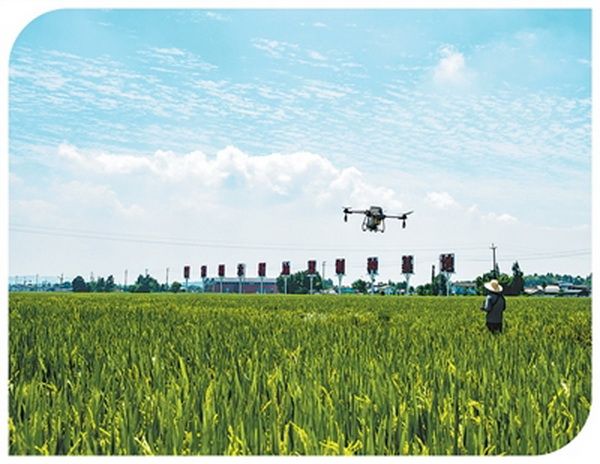 0-2_调整大小 0-2_调整大小