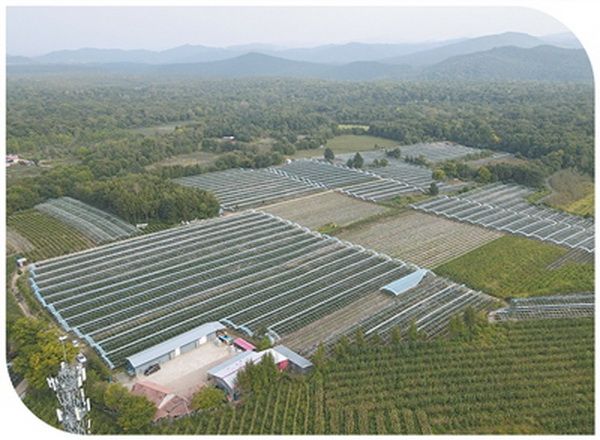 0-3_调整大小 0-3_调整大小