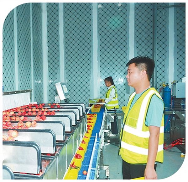 0-4_调整大小 0-4_调整大小