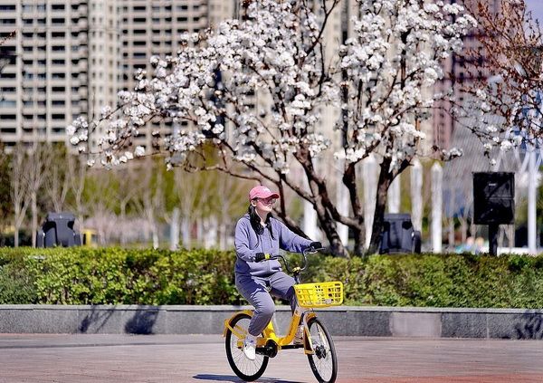 3-1_调整大小 3-1_调整大小