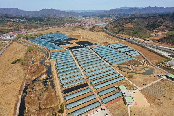 1-10_调整大小 1-10_调整大小